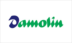 logo-damolin